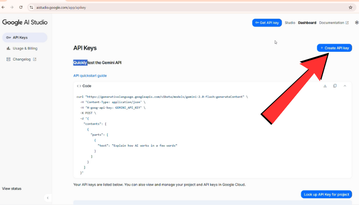 Google AI Studio Page